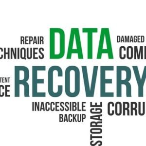 Data Recovery (Fee Per Hour)